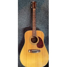 Kytara Cort AD-870/12