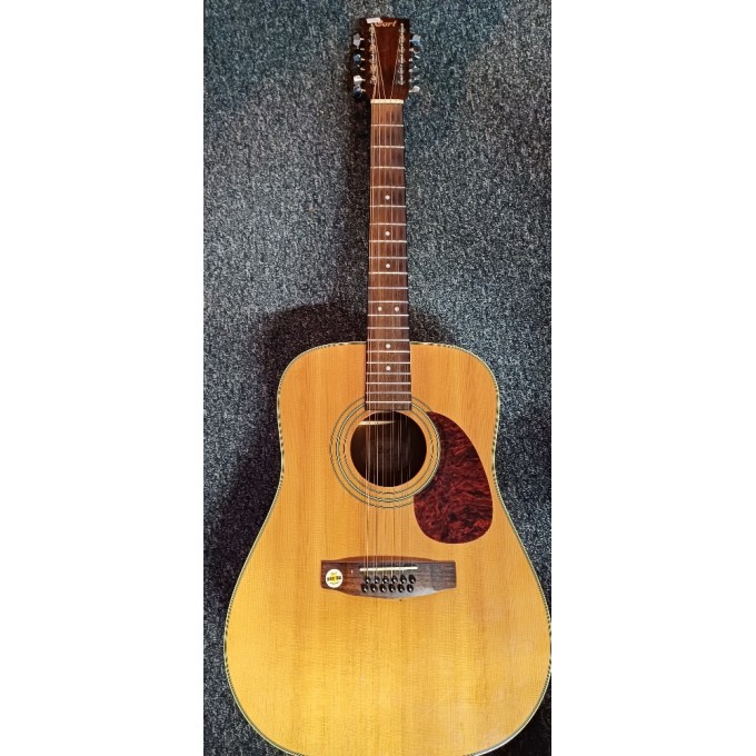 Kytara Cort AD-870/12