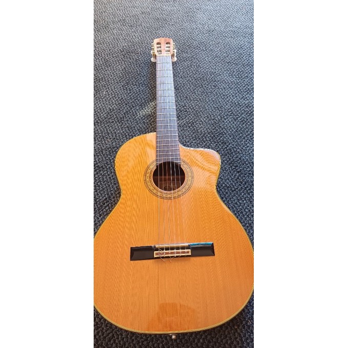Kytara Takamine 
