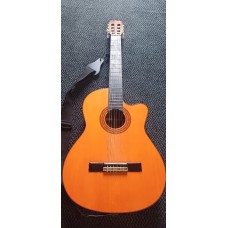 Kytara Jasmine Takamine