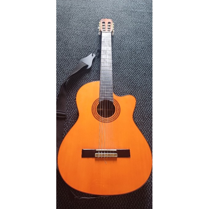 Kytara Jasmine Takamine