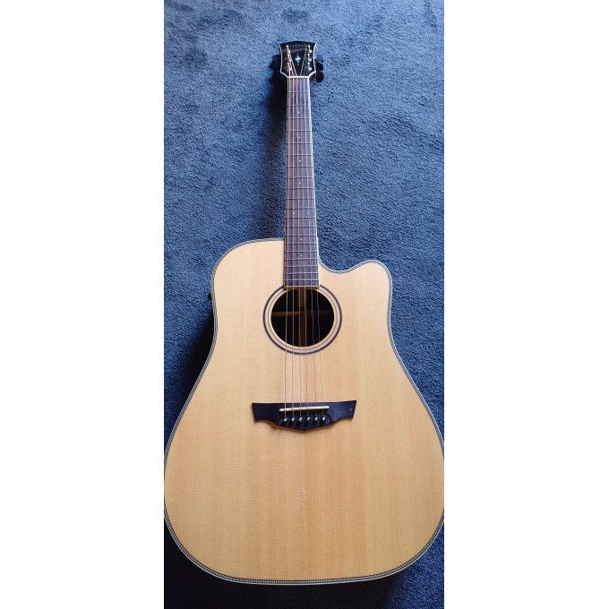 Kytara Parkwood PW-560