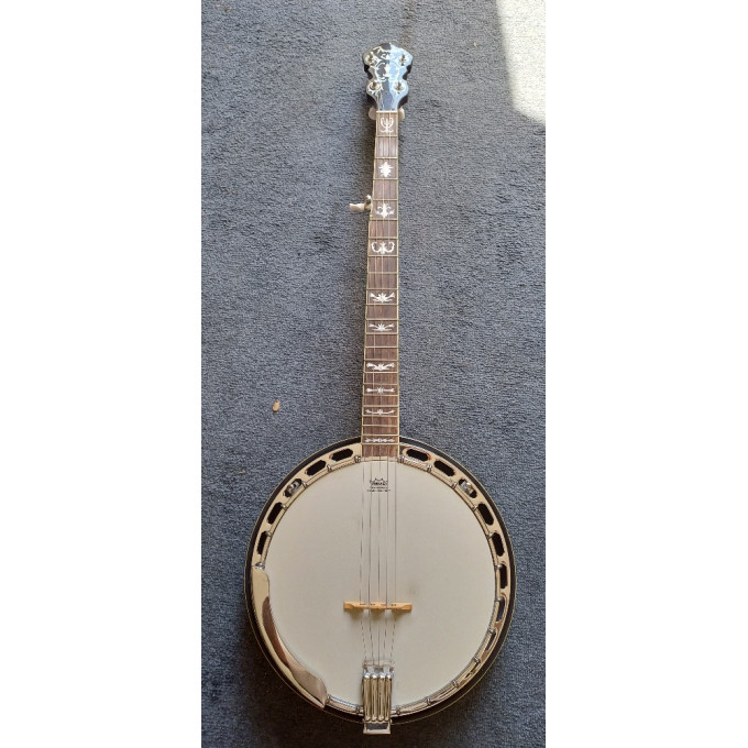 Banjo Fender 5-ti strunné