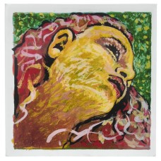  EVAH PIRAZZI NEO struny housle 4/4