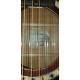 Kytara Godin Art Lutherie