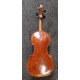 Viola L.Prokop č.17